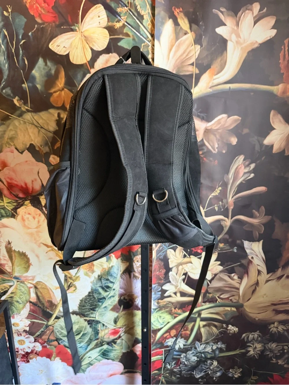 Bubble Window Cat Backpack in EUC!